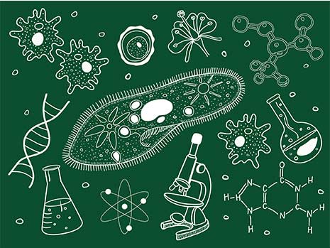 Biología. La célula