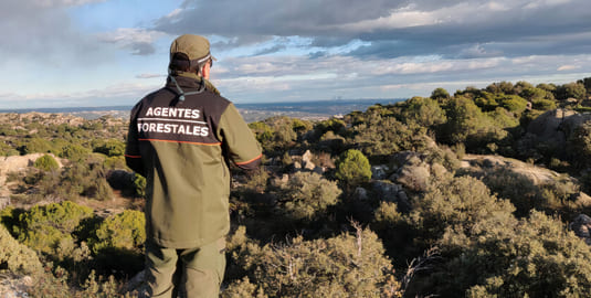 Preparación de oposiciones de agente forestal