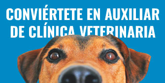 auxiliar clínica veterinaria