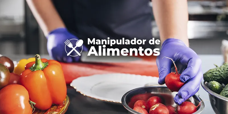Manipulador de Alimentos
