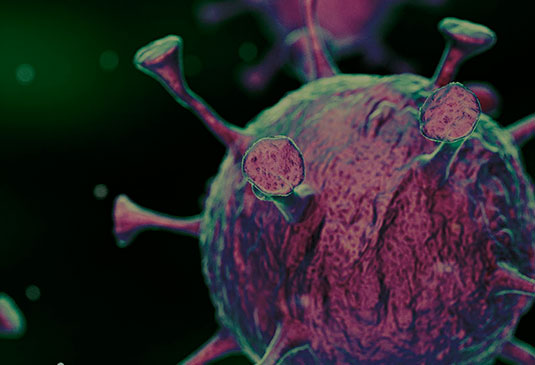 Coronavirus: ¿Los alimentos son fuente de transmisión?