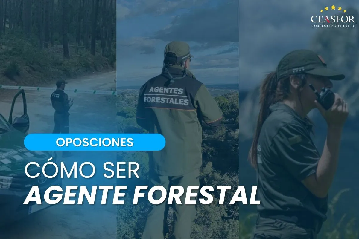 ¿Cómo ser Agente Forestal? Ventajas y funciones de este trabajo