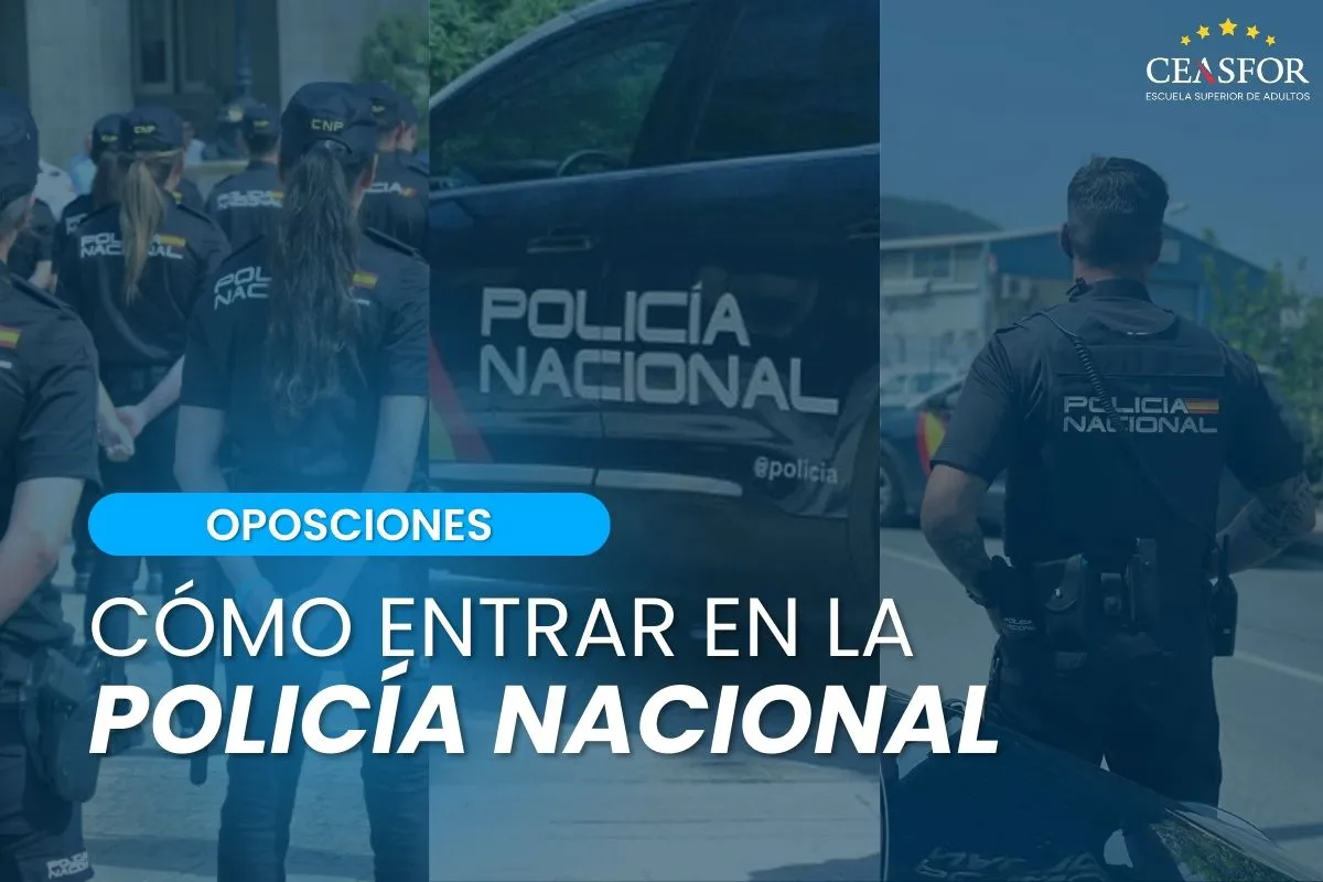 El papel de la Policía Nacional, la Guardia Civil y la Policía Local en España