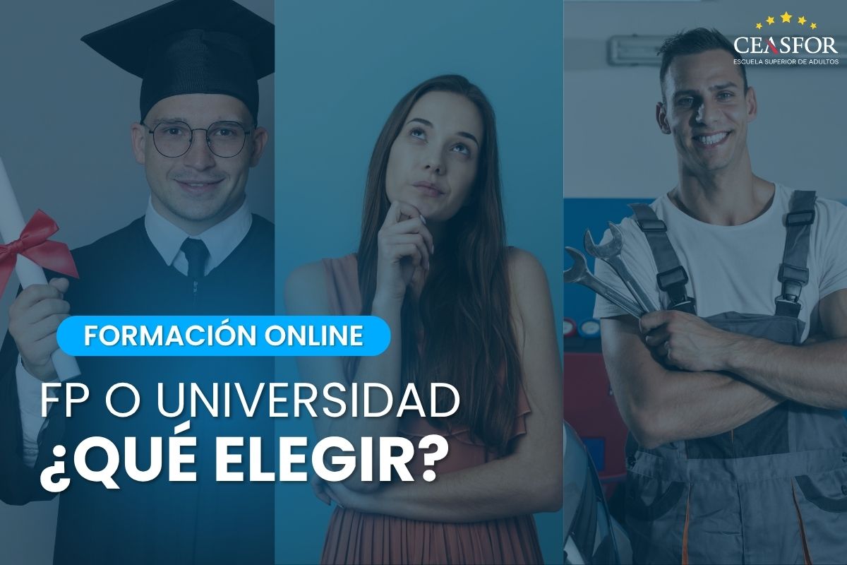formación profesional o universidad