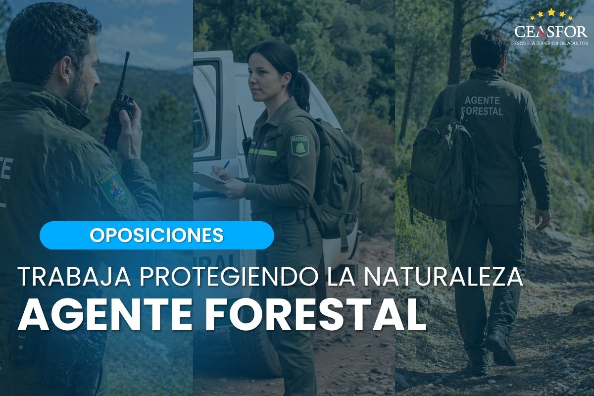 oposiciones de agente forestal